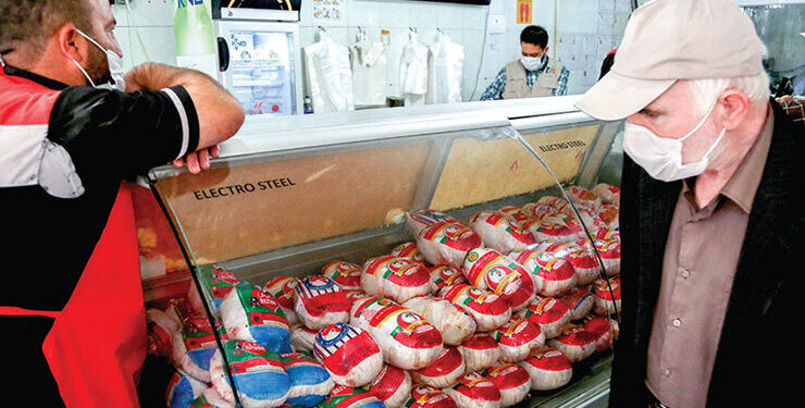 فروش مرغ ارزان آغاز شد/ اعلام جزییات