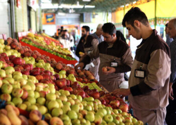 علت جهش قیمت میوه و سبزیجات در شهریور/ از اخراج کارگران افغان تا سرمازدگی و قطعی برق