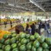 بازار میوه با عرضه انبوه نوبرانه‌های پاییز متعادل می‌شود