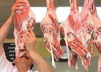 منتظر افت قیمت گوشت باشید؛ سیگنال مثبت از بازار