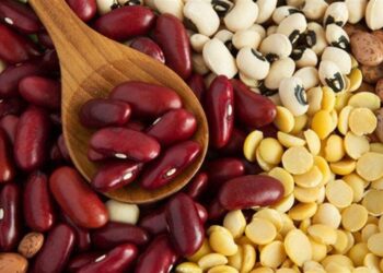 لوبیا قرمز طلا شد! / رشد شدید قیمت حبوبات در نیمه مهر ۱۴۰۴ + جدول قیمت