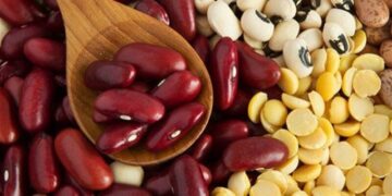 لوبیا قرمز طلا شد! / رشد شدید قیمت حبوبات در نیمه مهر ۱۴۰۴ + جدول قیمت