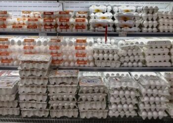 جنجال تخم‌مرغ از مرغداری تا بازار/ نیمرو با طعم تورم