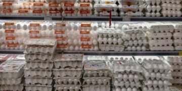 جنجال تخم‌مرغ از مرغداری تا بازار/ نیمرو با طعم تورم