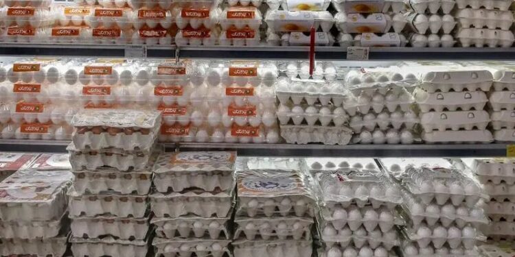 جنجال تخم‌مرغ از مرغداری تا بازار/ نیمرو با طعم تورم